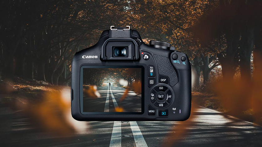 Expert review of the Canon EOS 2000D - Coolblue - anything for a smile