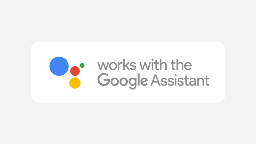 Google Assistant