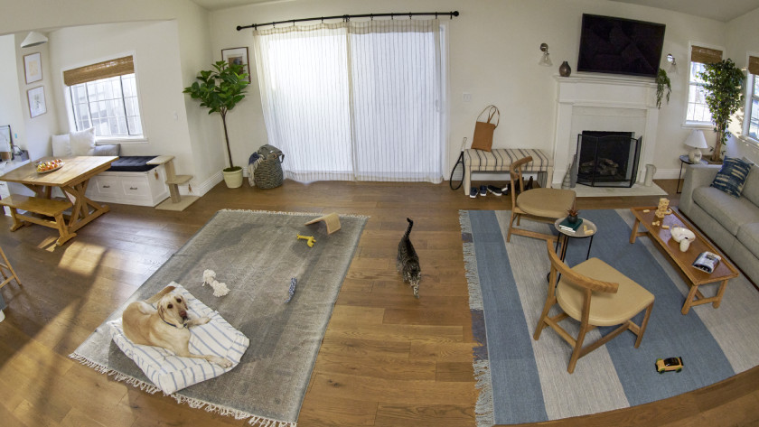 Ring Home Premium abonnement