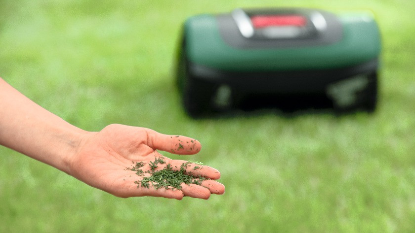 Mulch met robotmaaier op achtergrond