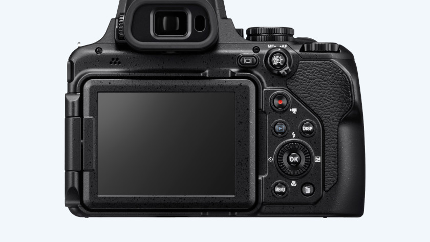 Nikon Coolpix P1000 beeldkwaliteit