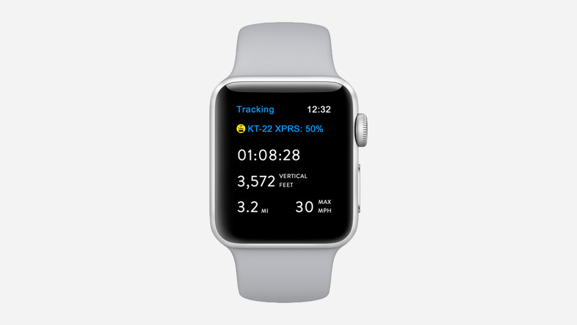apple watch delft blue