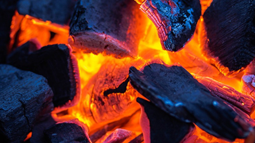 De voordelen van houtskool
