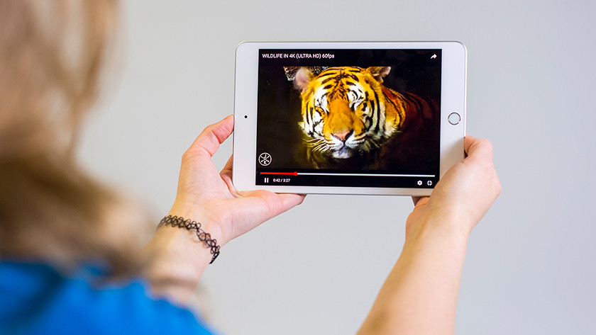 Apple iPad mini 5 Tablet Review -  Reviews