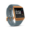 Fitbit Ionic Slate Blue & Burnt Orange (Afbeelding 14 van 18)