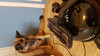 Numatic HHR-202 Harry Pets (Afbeelding 2 van 3)