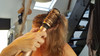 BaByliss Big Hair Luxe AS970E (Image 3 of 4)