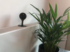Google Nest Cam IQ Indoor (Afbeelding 2 van 15)