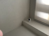 Eufy Indoor Cam 2K Pan & Tilt (Image 6 de 10)