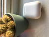 Apple AirPods 2 met oplaadcase (Afbeelding 6 van 100)