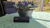Sonos Roam + Docking Station (Image 10 of 13)