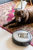 iRobot Roomba i7158 (Image 3 of 25)