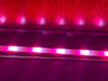 Philips Hue Solo Light Strip - White and Color - 10m (Image 24 of 24)