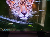 LG OLED42C45LA (2024) (Afbeelding 2 van 7)