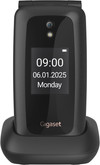 Gigaset GL795R