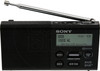 Sony XDR-P1DBP Zwart