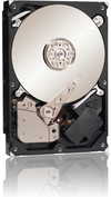 Seagate Barracuda ST31000524AS 1 TB
