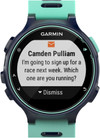 Garmin Forerunner 735XT Frost Blue