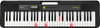 Casio Casiotone LK-S250