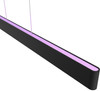 Philips Hue Ensis Hanglamp White and Color Zwart
