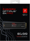 SANDISK Optimus GX PRO 8100 2TB Heatsink PCIe 5.0 NVMe SSD