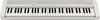 Casio CT-S1 Wit