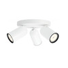 Philips Pongee Mounted Spot Light - 3 Spot Lights - White