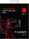 SANDISK Optimus GX 7100M 1TB NVMe SSD