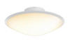 Philips Hue Phoenix Ceiling Lamp