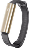 Misfit Ray Polished Gold/Zwart Sport Band