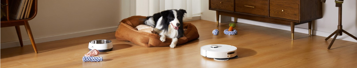 Hoe kies je een robotstofzuiger voor dierenharen?