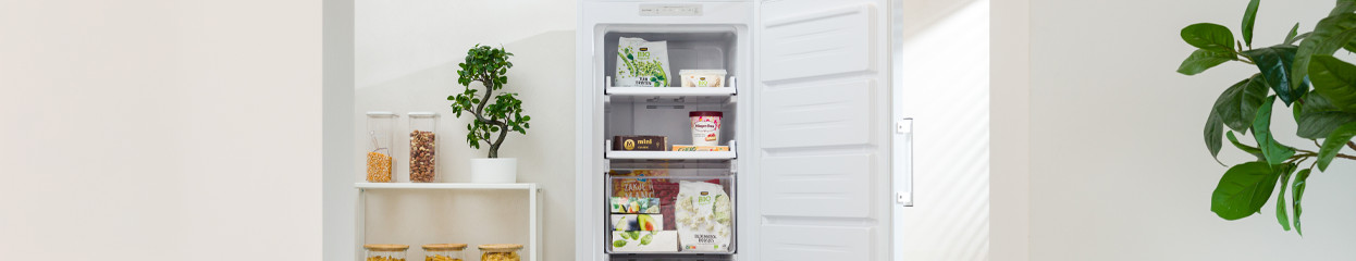 Hoe kies je een vrieskast?