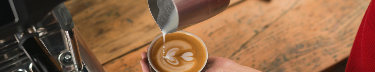 What are specialty coffee beans?