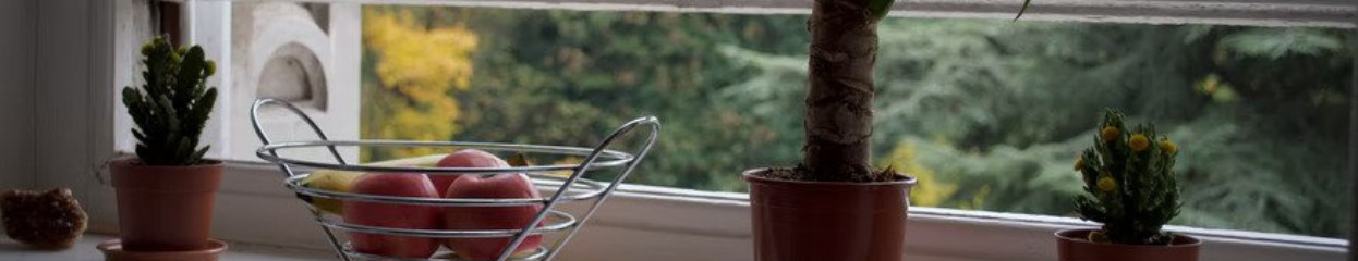 Wat is een koolmonoxidemelder? 