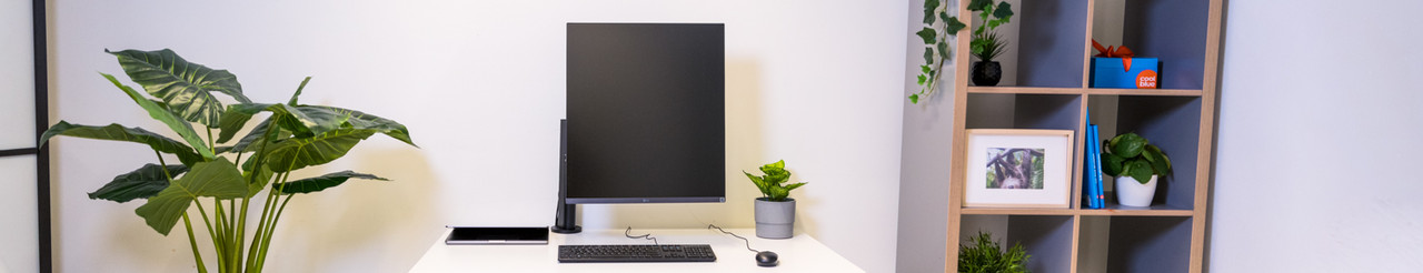 Expert review: LG DualUp Ergo 28MQ780-B