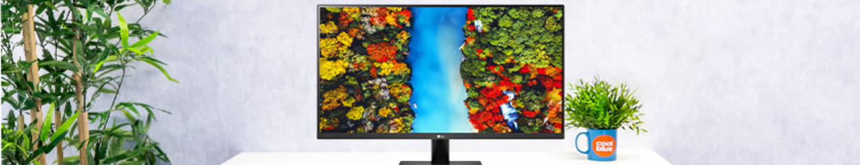 How do you choose a monitor for everyday use?