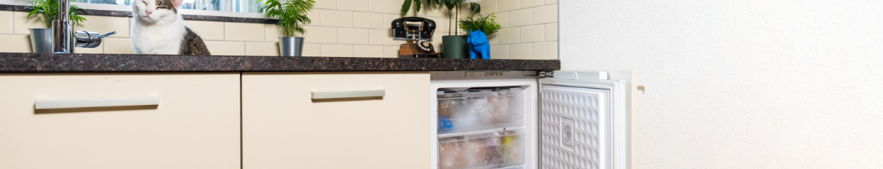 Welk model vriezer past bij jou?