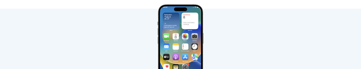 Hoe verander je de naam van je iPhone?  