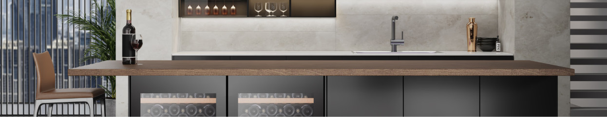 Hoe kies je een wijnklimaatkast?