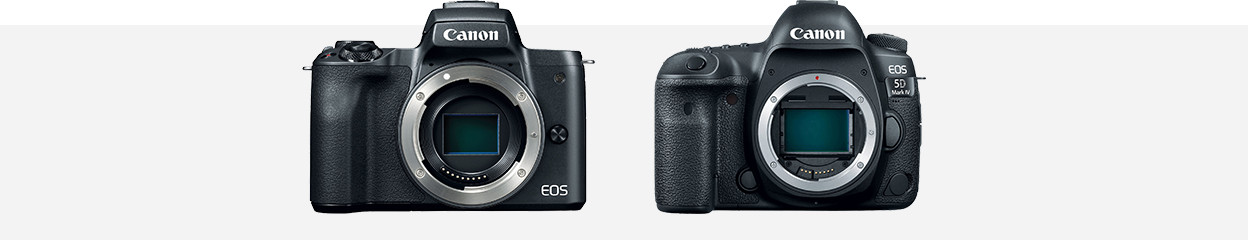 How do you clean the image sensor of your camera?