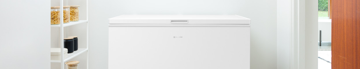 Hoe kies je een vrieskist?