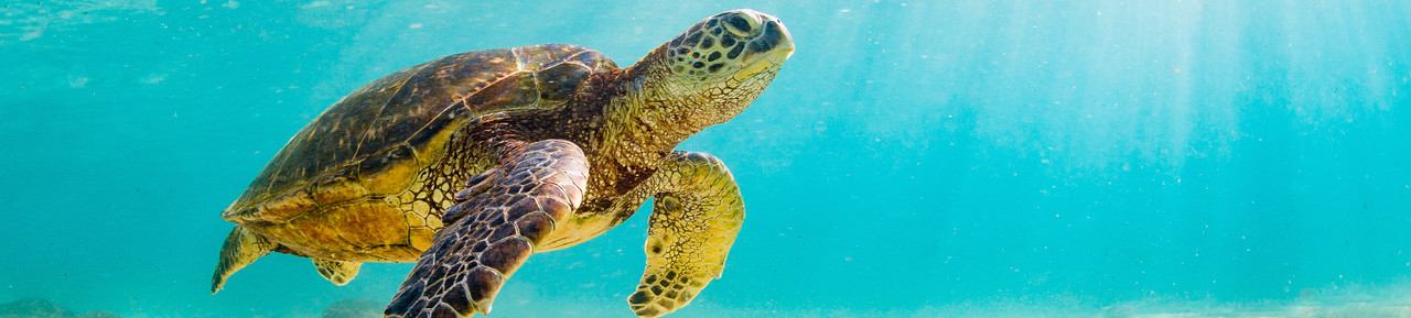 Alles over HP en duurzaamheid