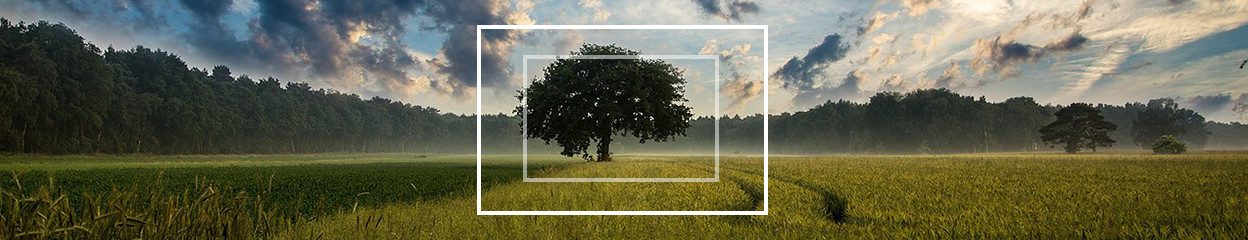 What's a full-frame camera and why should you choose one?