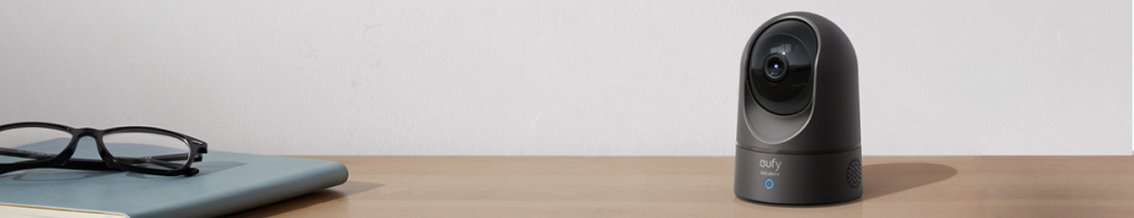 What's a PTZ IP camera?