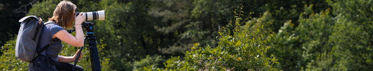 Zo maak je de beste landschapsfoto