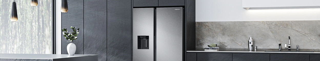 Which functions do Samsung American fridges have?