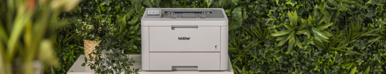 Wat is Brother MPS Essential?