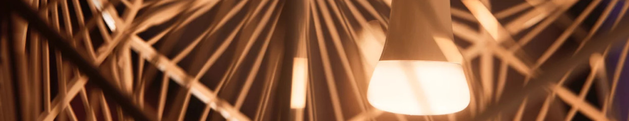 Hoe kies je losse Philips Hue smart lampen? 