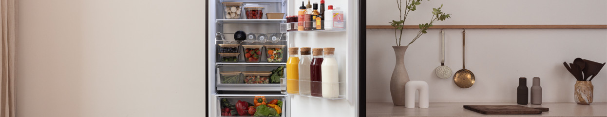 Hoe kies je een Wisberg koel-vriescombinatie?