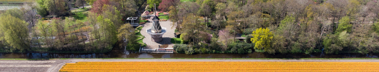 Tips for the best images using your drone